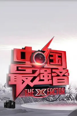 《中国最强音》:追梦赤子心,音乐梦想的激情绽放