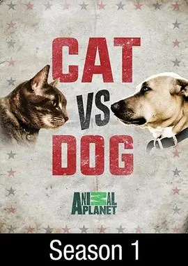 爆笑来袭!《猫狗大战综艺》:萌宠激战,笑料不断!