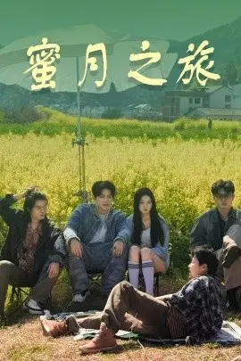 《蜜月之旅》:爱情的考验,甜蜜背后的危机四伏